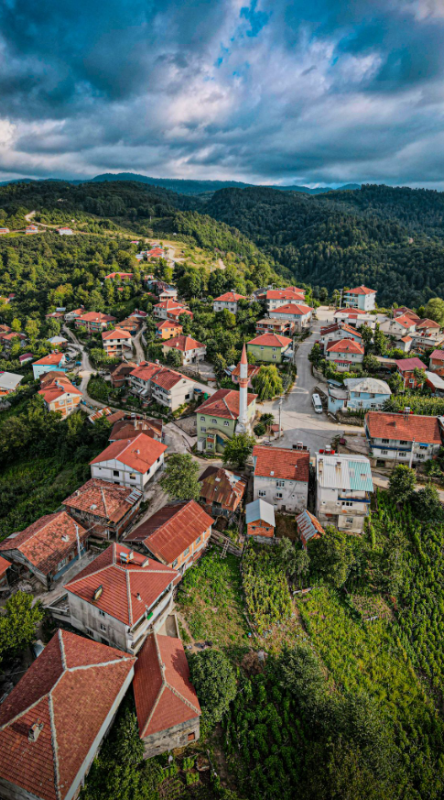 DÜZCE YIGILCA MÜSTAKİL EV TAPU SAHİBİ PERTA EMLAK ÜMİT TAHMAZ