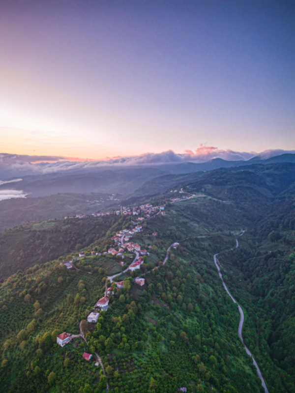 DÜZCE YIGILCA MÜSTAKİL EV TAPU SAHİBİ PERTA EMLAK ÜMİT TAHMAZ