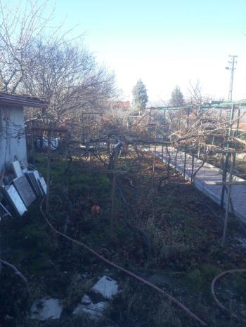Güvenay - Çorum Boyralı Bağlarında Bakımlı 860 m² Satılık Bağ