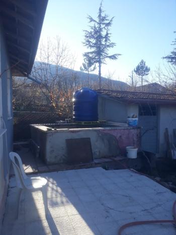 Güvenay - Çorum Boyralı Bağlarında Bakımlı 860 m² Satılık Bağ