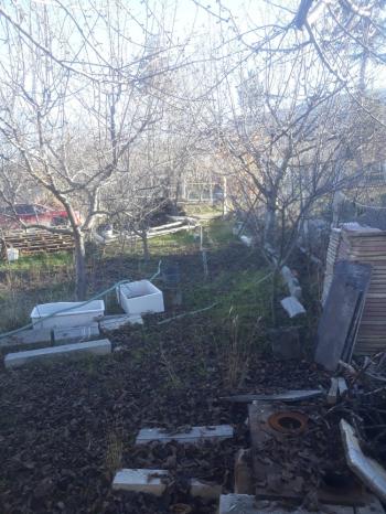 Güvenay - Çorum Boyralı Bağlarında Bakımlı 860 m² Satılık Bağ