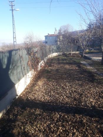 Güvenay - Çorum Boyralı Bağlarında Bakımlı 860 m² Satılık Bağ