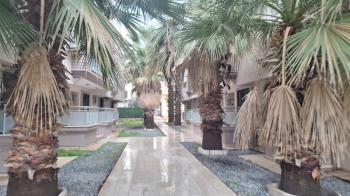 DİDİM YENİ MAHALLE’DE DENİZE YÜRÜME MESAFESİNDE CEM EVLERİNE YAKIN SATILIK 3+1 DAİRE Fiyat: 6.250.000 TL