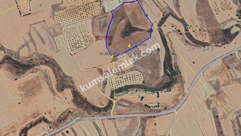 LEFKOŞA  YILMAZKÖY'DE  SATILIK TARLA