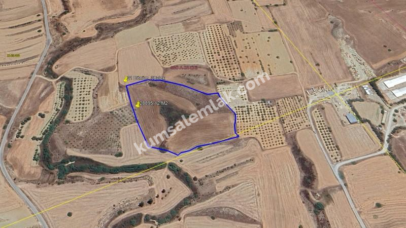 LEFKOŞA  YILMAZKÖY'DE  SATILIK TARLA