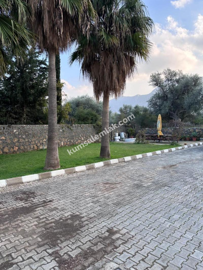 Girne'de Havuzlu sitede  Ful Eşyalı 3+1 Kiralık Daire