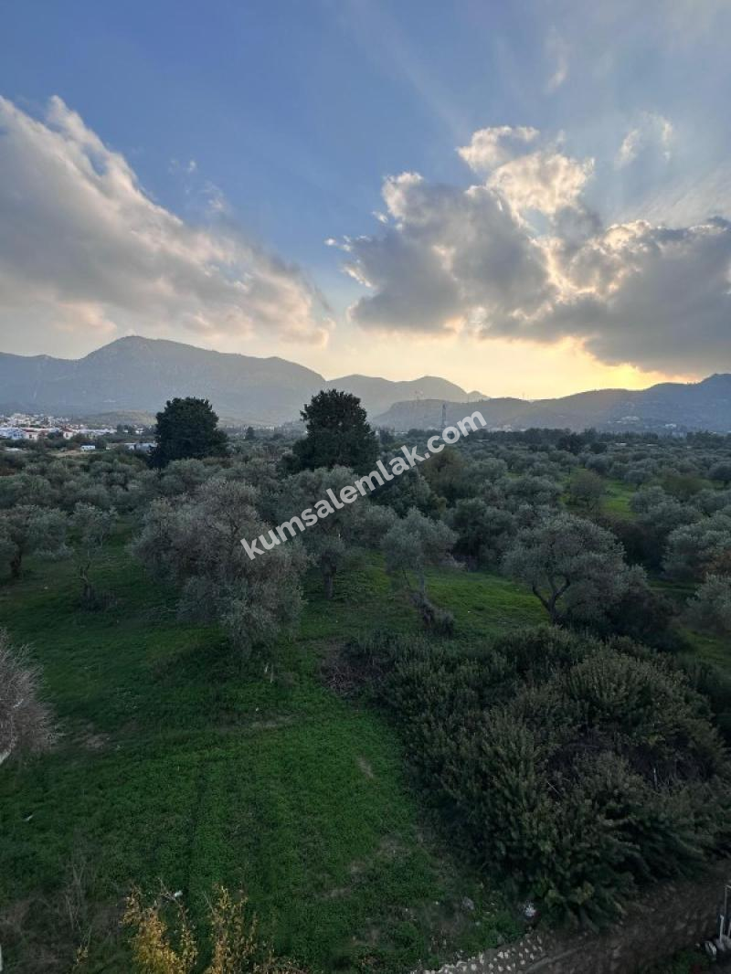 Girne'de Havuzlu sitede  Ful Eşyalı 3+1 Kiralık Daire