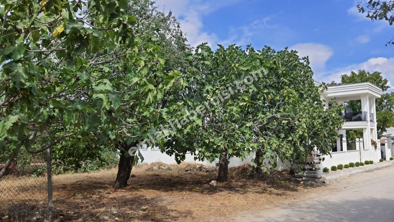 MUDANYA, ÇEPNİ KÖYİÇİ 2 KAT İMARLI 2 TAPULU 400 M2 ARSA