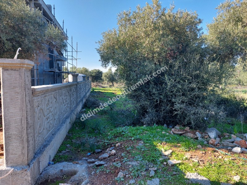 Didim Akyeniköy'de 300m² İmarlı Villa Arsası