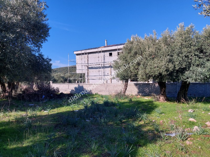 Didim Akyeniköy'de 300m² İmarlı Villa Arsası