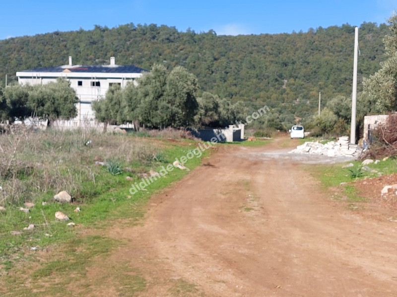 Didim Akyeniköy'de 300m² İmarlı Villa Arsası