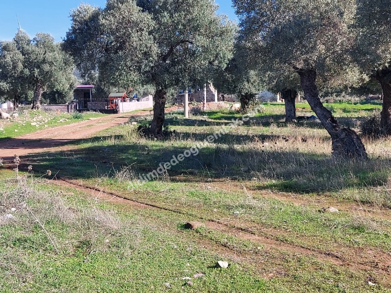 Didim Akyeniköy'de 300m² İmarlı Villa Arsası