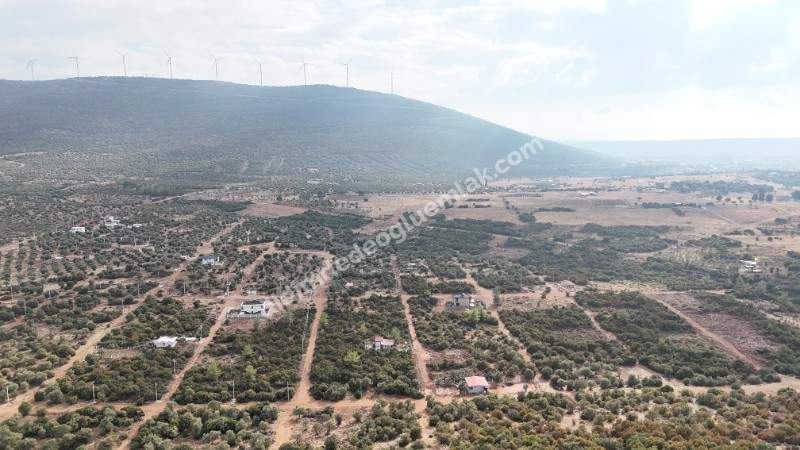Didim Akyeniköy'de 300m² İmarlı Villa Arsası