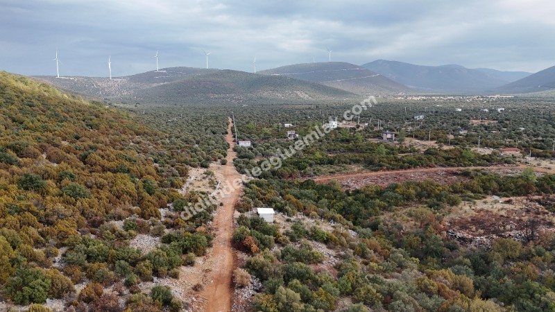 Didim Akyeniköy'de 300m² İmarlı Villa Arsası