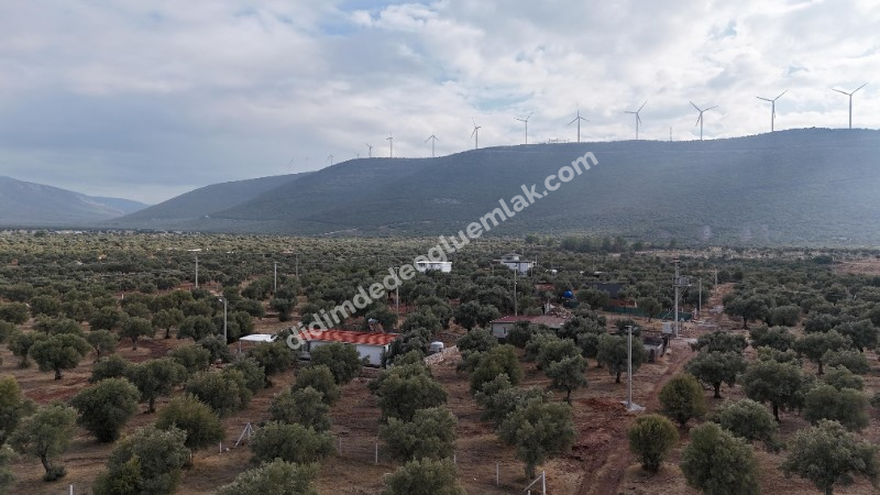 Didim Akyeniköy'de 300m² İmarlı Villa Arsası