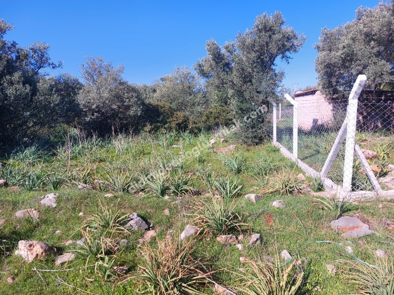 Didim Akyeniköy'de 300m² İmarlı Villa Arsası