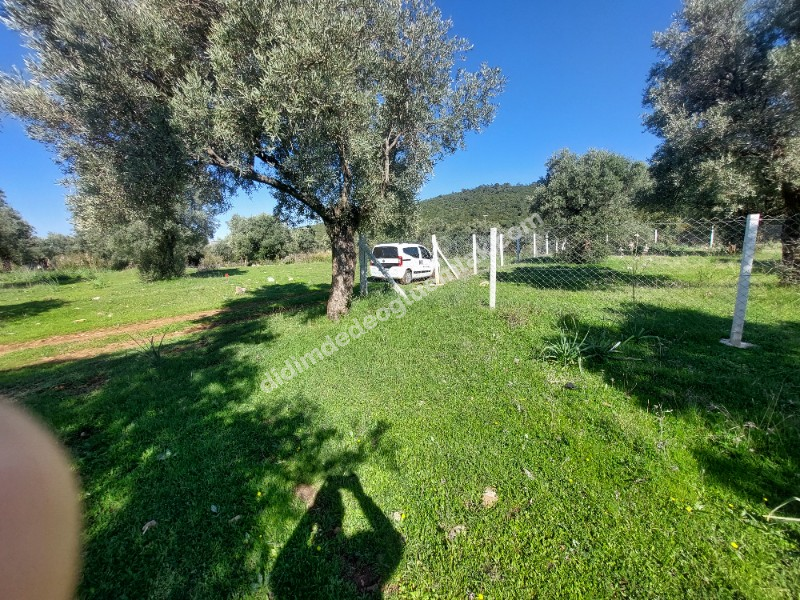 Didim Akyeniköy'de 300m² İmarlı Villa Arsası