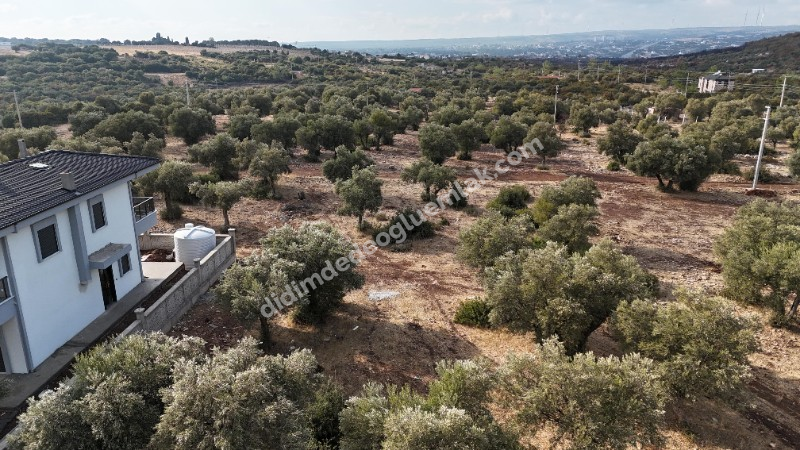 Didim Akyeniköy'de 300m² İmarlı Villa Arsası