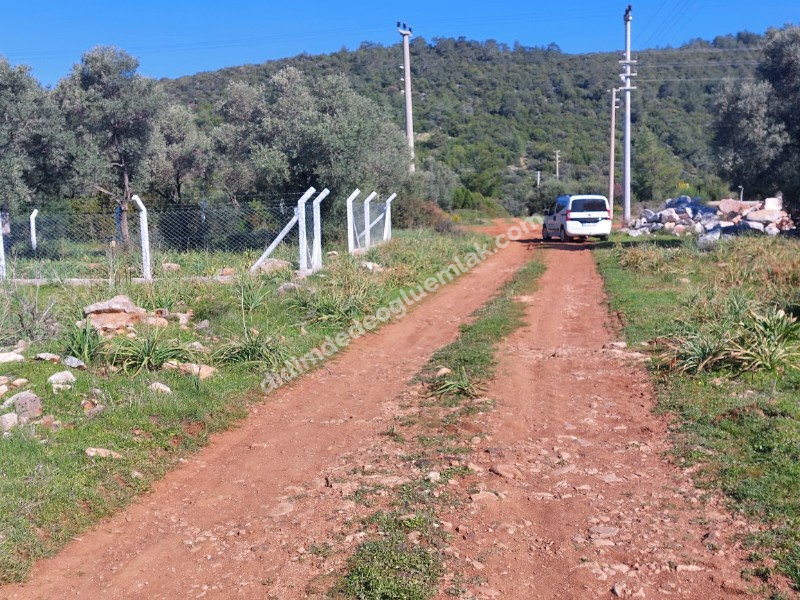 Didim Akyeniköy'de 300m² İmarlı Villa Arsası