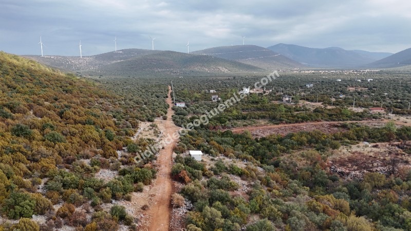 Didim Akyeniköy'de 300m² İmarlı Villa Arsası