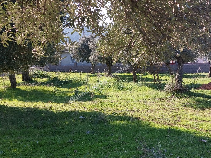 Didim Akyeniköy'de 300m² İmarlı Villa Arsası
