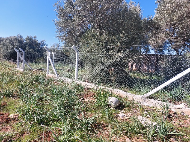 Didim Akyeniköy'de 300m² İmarlı Villa Arsası