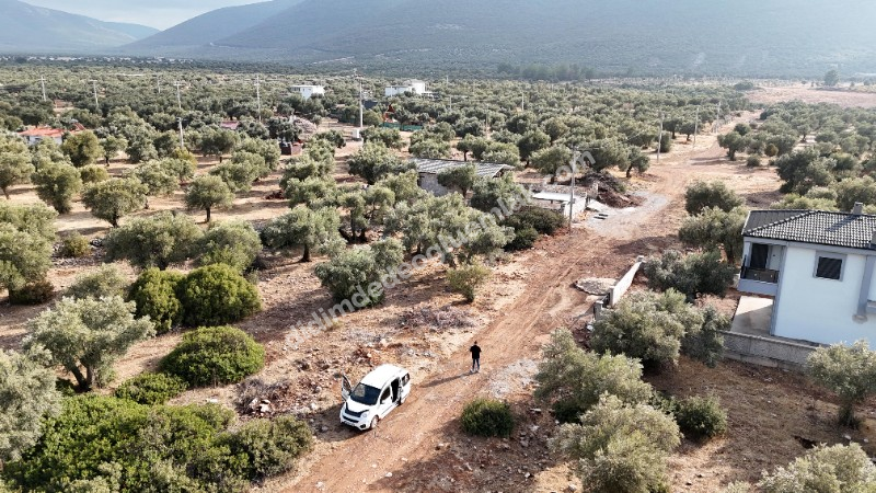 Didim Akyeniköy'de 300m² İmarlı Villa Arsası