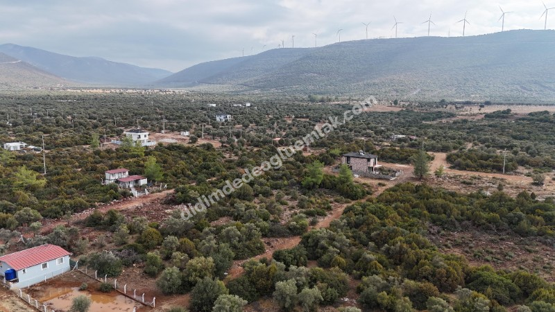 Didim Akyeniköy'de 300m² İmarlı Villa Arsası