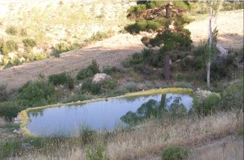 MERSİN MUT MÜSTAKİL EV TAPU SAHİBİ PERTA EMLAK ÜMİT TAHMAZ
