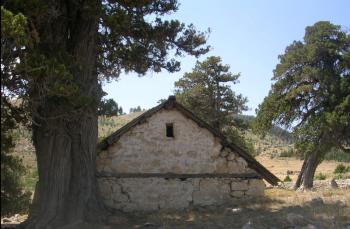 MERSİN MUT MÜSTAKİL EV TAPU SAHİBİ PERTA EMLAK ÜMİT TAHMAZ