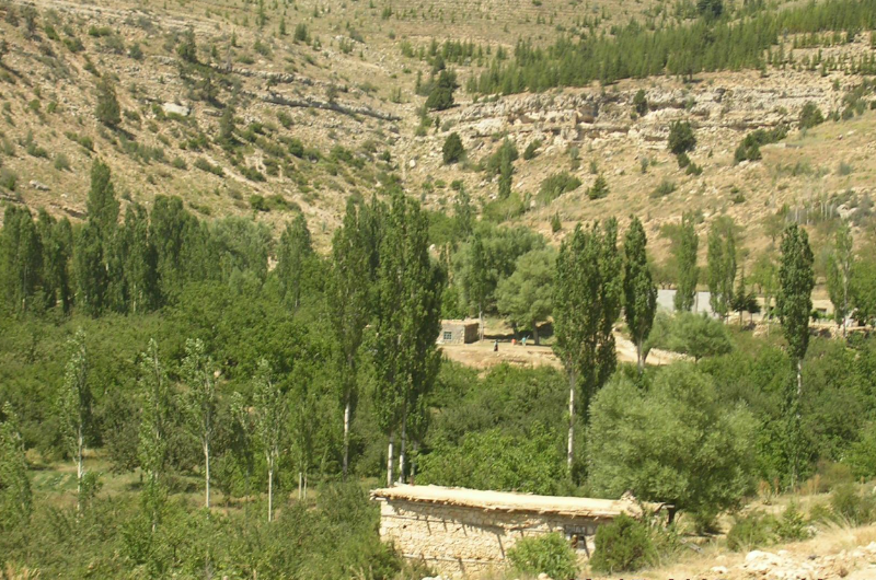 MERSİN MUT MÜSTAKİL EV TAPU SAHİBİ PERTA EMLAK ÜMİT TAHMAZ