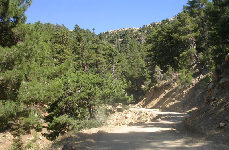 MERSİN MUT MÜSTAKİL EV TAPU SAHİBİ PERTA EMLAK ÜMİT TAHMAZ