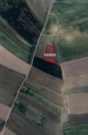 GÜVENAY - ÇORUM MERKEZ SARIMBEY 2025 m2 SATILIK TARLA 
