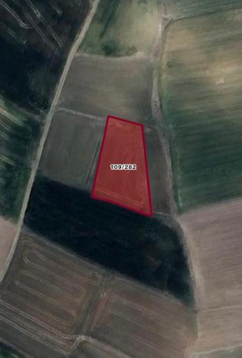 GÜVENAY - ÇORUM MERKEZ SARIMBEY 2025 m2 SATILIK TARLA 