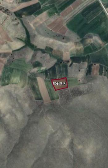 GÜVENAY - ÇORUM MERKEZ SARIMBEY KÖYÜ 5.559 m2  SATILIK TARLA 