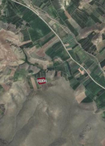 GÜVENAY - ÇORUM MERKEZ SARIMBEY KÖYÜ 5.559 m2  SATILIK TARLA 