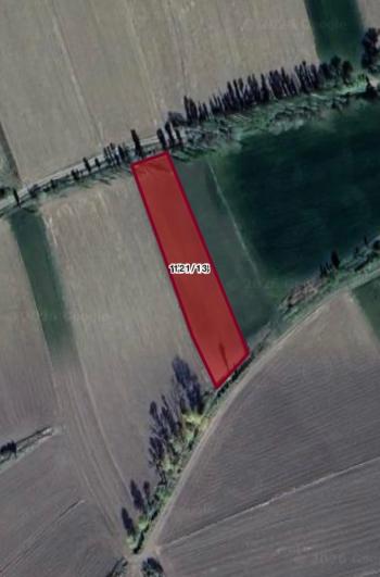 GÜVENAY - ÇORUM MERKEZ SARIMBEY ARKALTI MEVKİ 1,955,11 m2SATILIK TARLA 