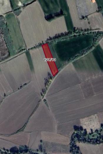 GÜVENAY - ÇORUM MERKEZ SARIMBEY ARKALTI MEVKİ 1,955,11 m2SATILIK TARLA 