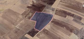 AFYON ÜÇOK EMLAKTAN İHSANİYE YAYLABAĞINDA 16.960M² SATILIK TARLA 