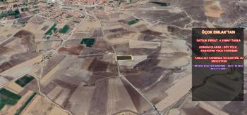 AFYON ÜÇOK EMLAKTAN İHSANİYE YAYLABAĞI MEVKİNDE 4.100M² SATILIK TARLA 