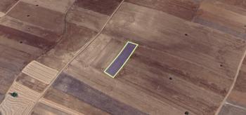 AFYON ÜÇOK EMLAKTAN İHSANİYE YAYLABAĞI MEVKİNDE 3.100M² YATIRIMA UYGUN SATILIK TARLA 