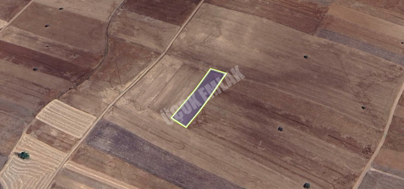 AFYON ÜÇOK EMLAKTAN İHSANİYE YAYLABAĞI MEVKİNDE 3.100M² YATIRIMA UYGUN SATILIK TARLA 