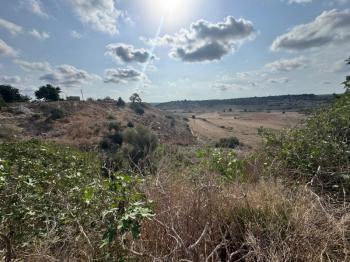 İSKELE ZİYAMET'DE YATIRIMLIK ARSA NİTELİKLİ  ARAZİ 