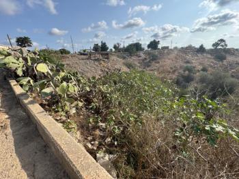 İSKELE ZİYAMET'DE YATIRIMLIK ARSA NİTELİKLİ  ARAZİ 