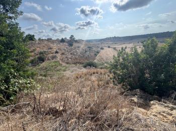 İSKELE ZİYAMET'DE YATIRIMLIK ARSA NİTELİKLİ  ARAZİ 