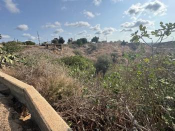 İSKELE ZİYAMET'DE YATIRIMLIK ARSA NİTELİKLİ  ARAZİ 