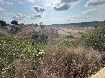 İSKELE ZİYAMET'DE YATIRIMLIK ARSA NİTELİKLİ  ARAZİ 