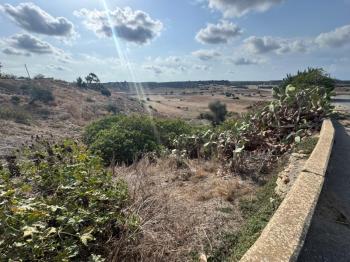 İSKELE ZİYAMET'DE YATIRIMLIK ARSA NİTELİKLİ  ARAZİ 