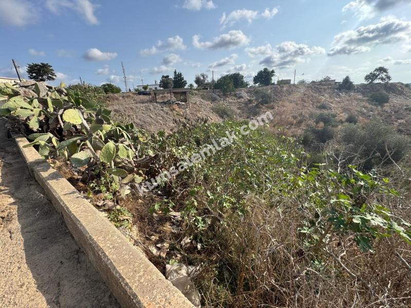 İSKELE ZİYAMET'DE YATIRIMLIK ARSA NİTELİKLİ  ARAZİ 