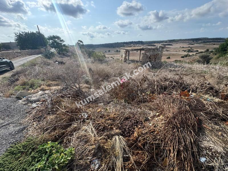 İSKELE ZİYAMET'DE YATIRIMLIK ARSA NİTELİKLİ  ARAZİ 